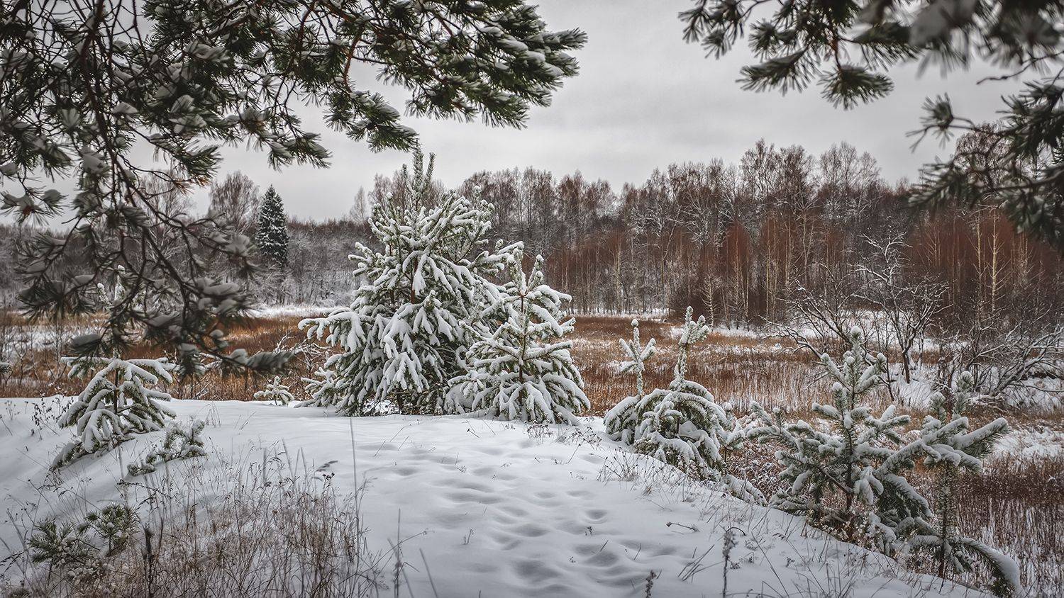, Андреев Николай
