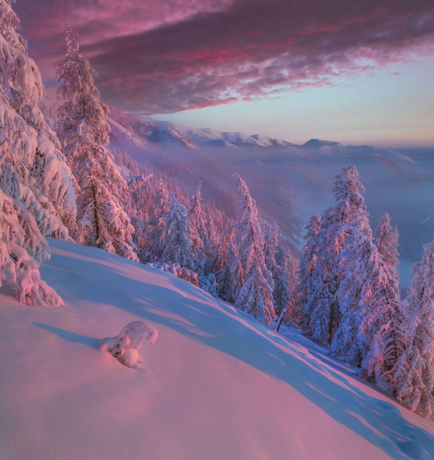 фототуры с владимиром рябковым, #topnature #russpasibo #magic_shots #lovelyrussia #sunset_vision #exclusive_sky  #exclusive_shots #loves_russia2 #photoarena_nature #nature_sultans #nature_perfection #rsa_sky #rsa_sunset #photorussia #rsa_naturepics #sunse, Владимир Рябков