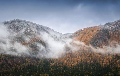 Алтайская осень
