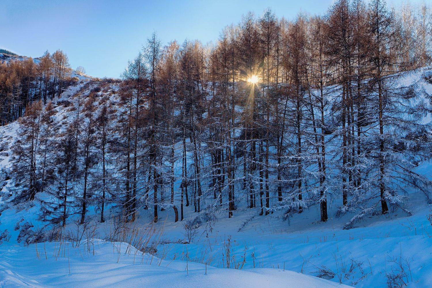 кыргызстан, ак-тюз, Элина Магалимова