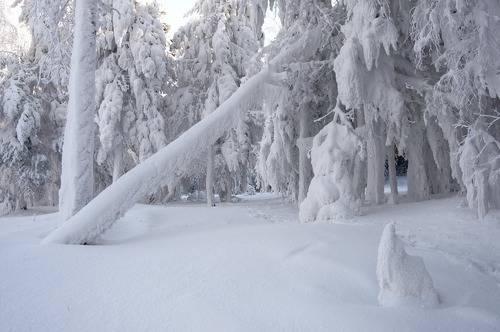 Зимнее царство