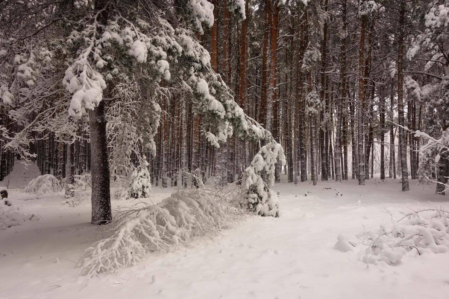 , Андрей Балабин