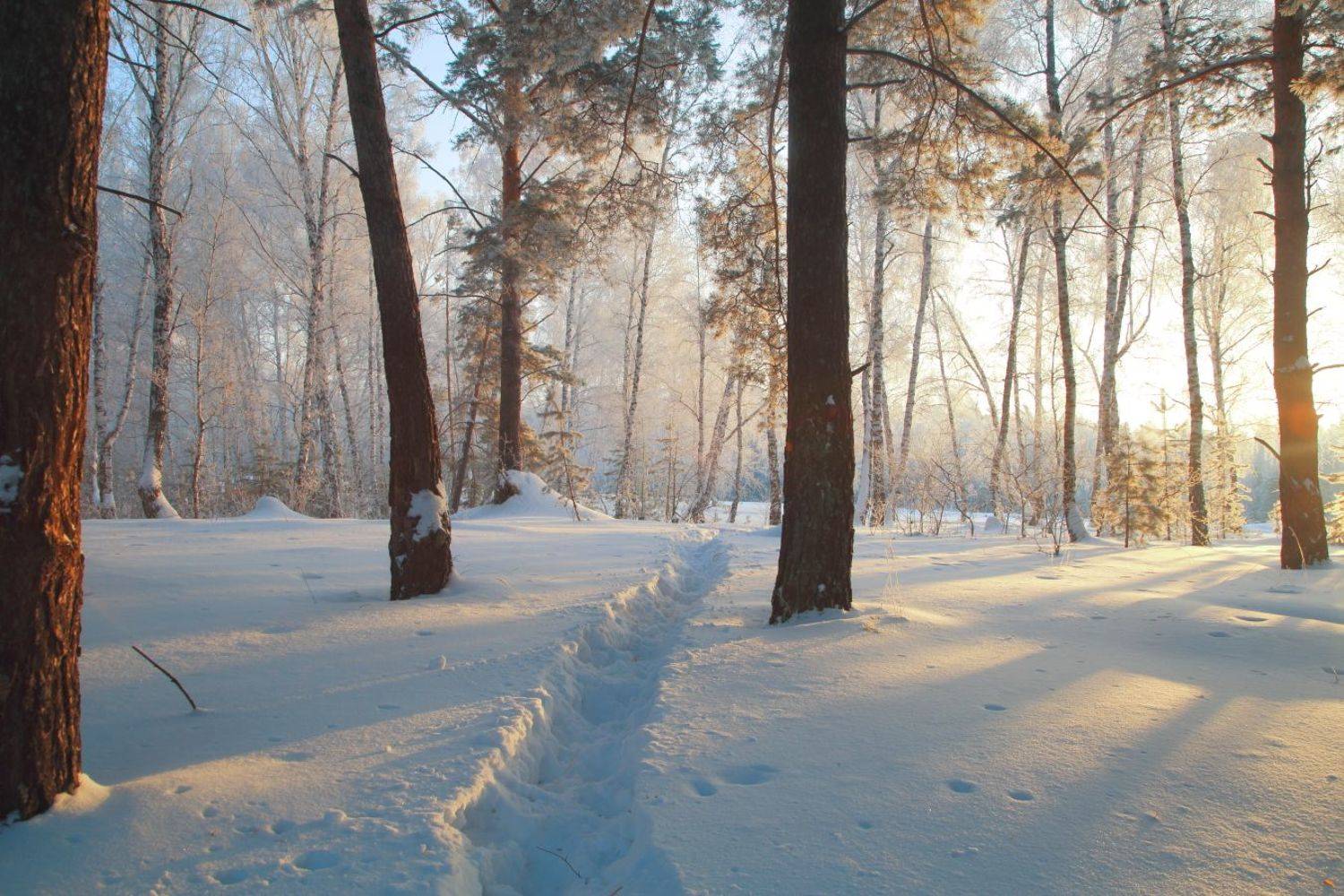 , Евгений Зинов