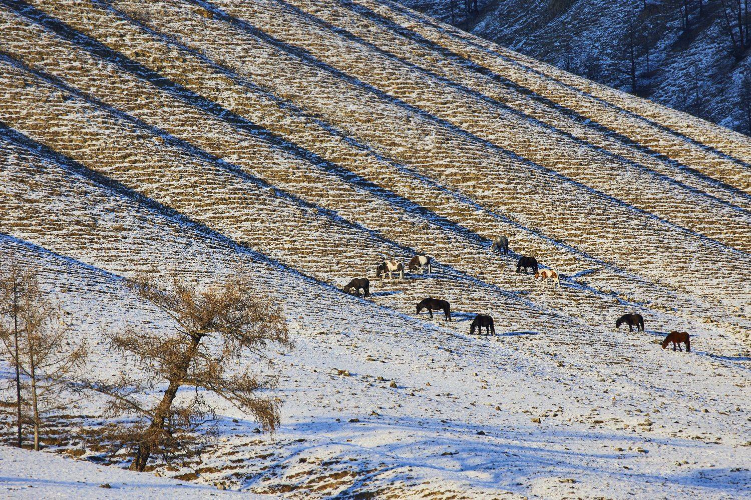 , Михаил Байбородин