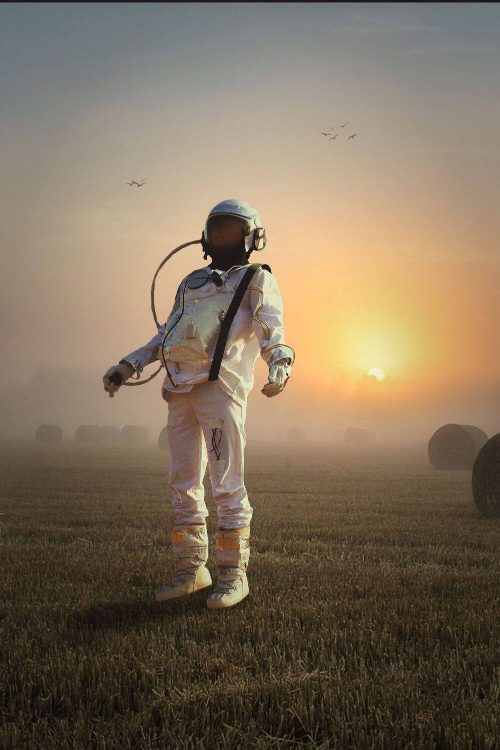 поле, космонавт, Sergii Vidov