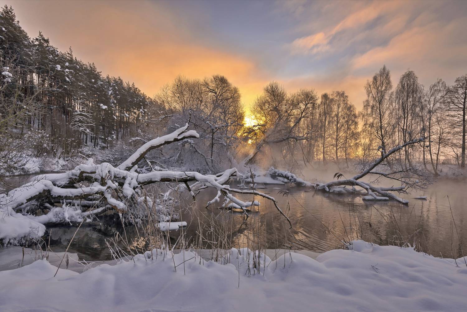 зима, утро, мороз, свислочь, Александр Гвоздь