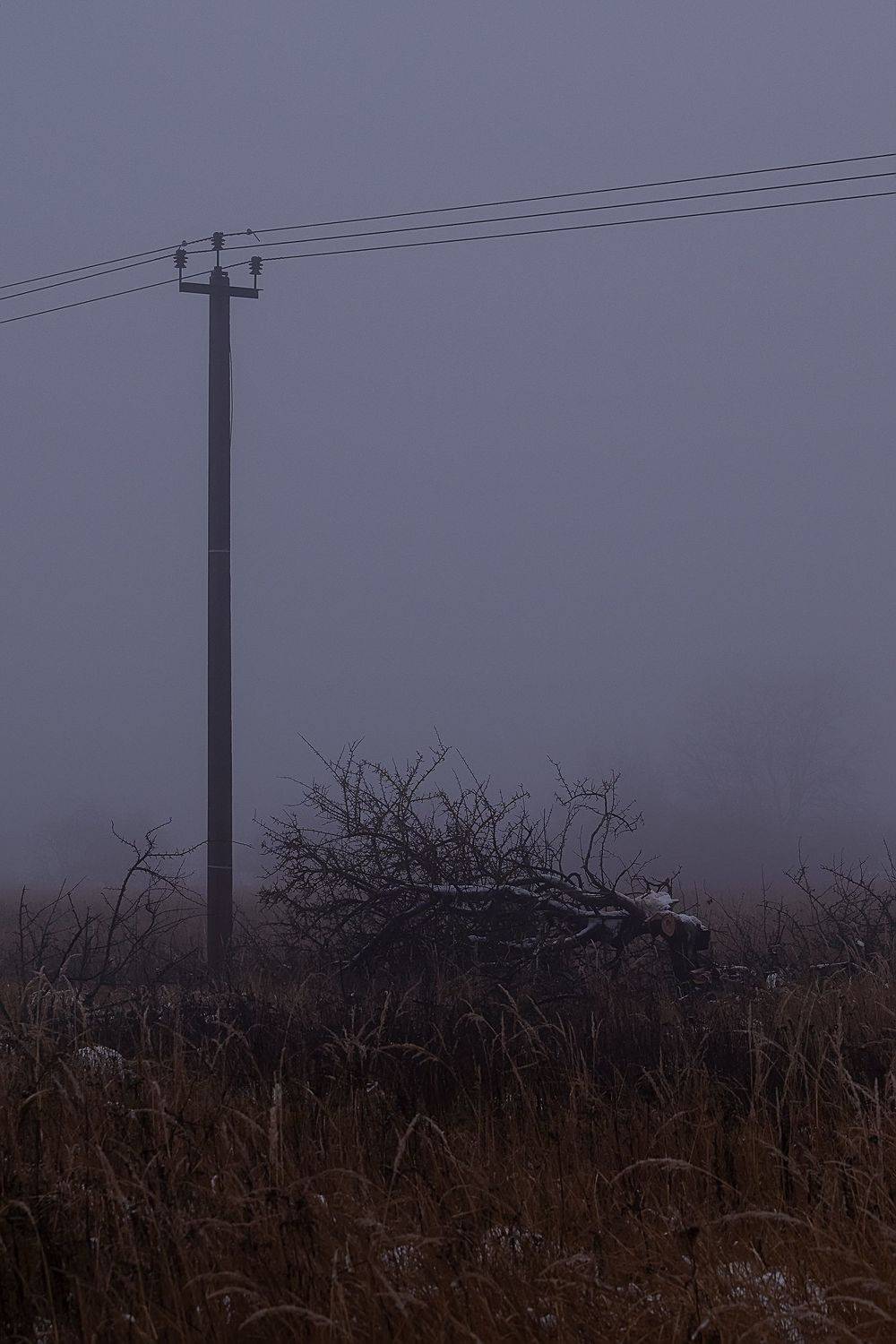 , Стрельцов Виталий