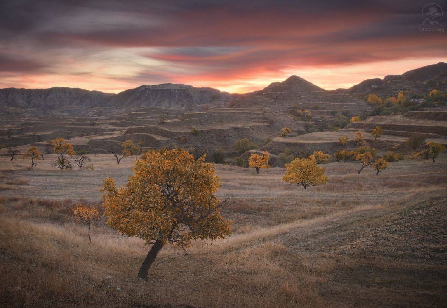 дагестан, террасы, Гордиенко Анатолий