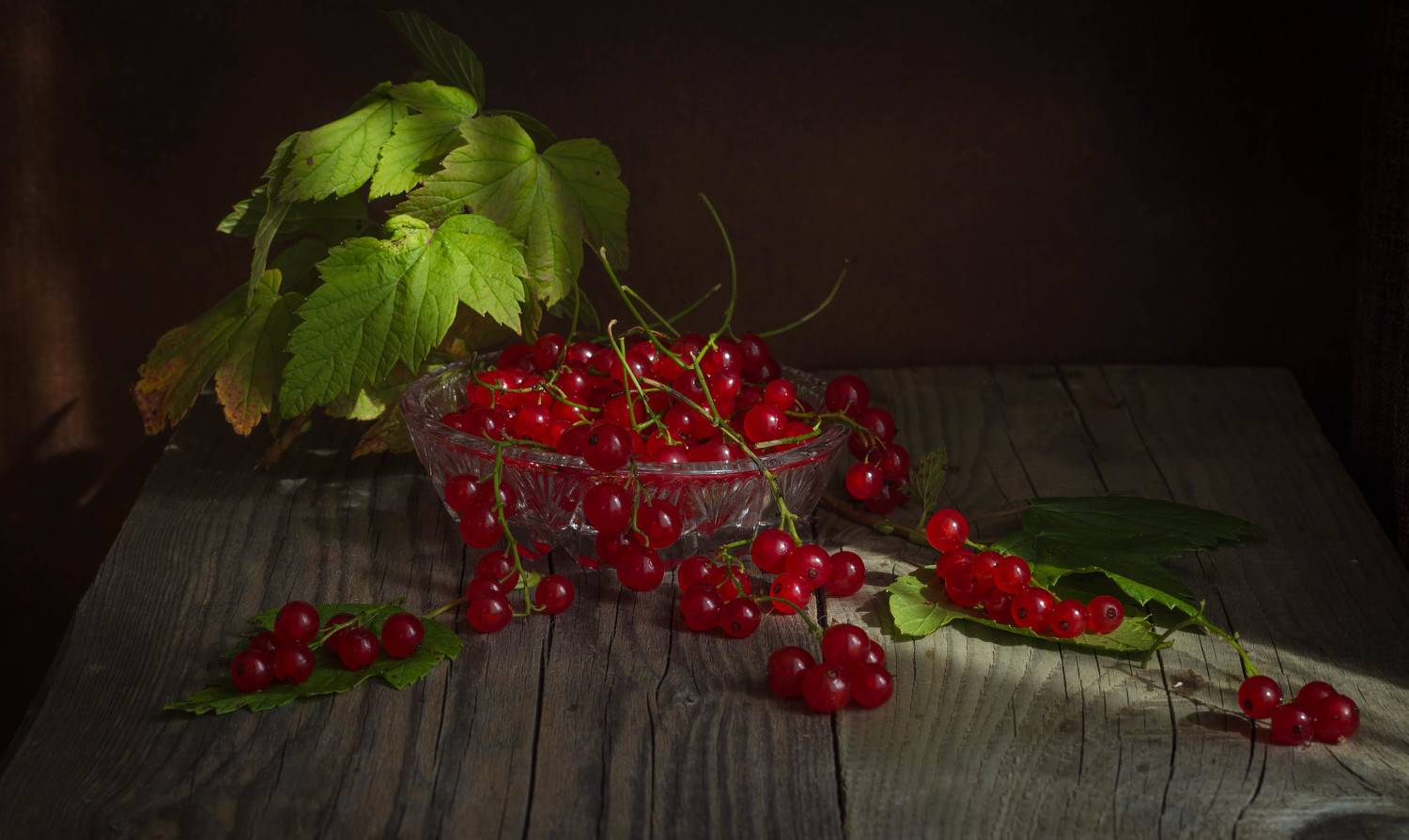 смородина, вечер, Elena Hvojnova