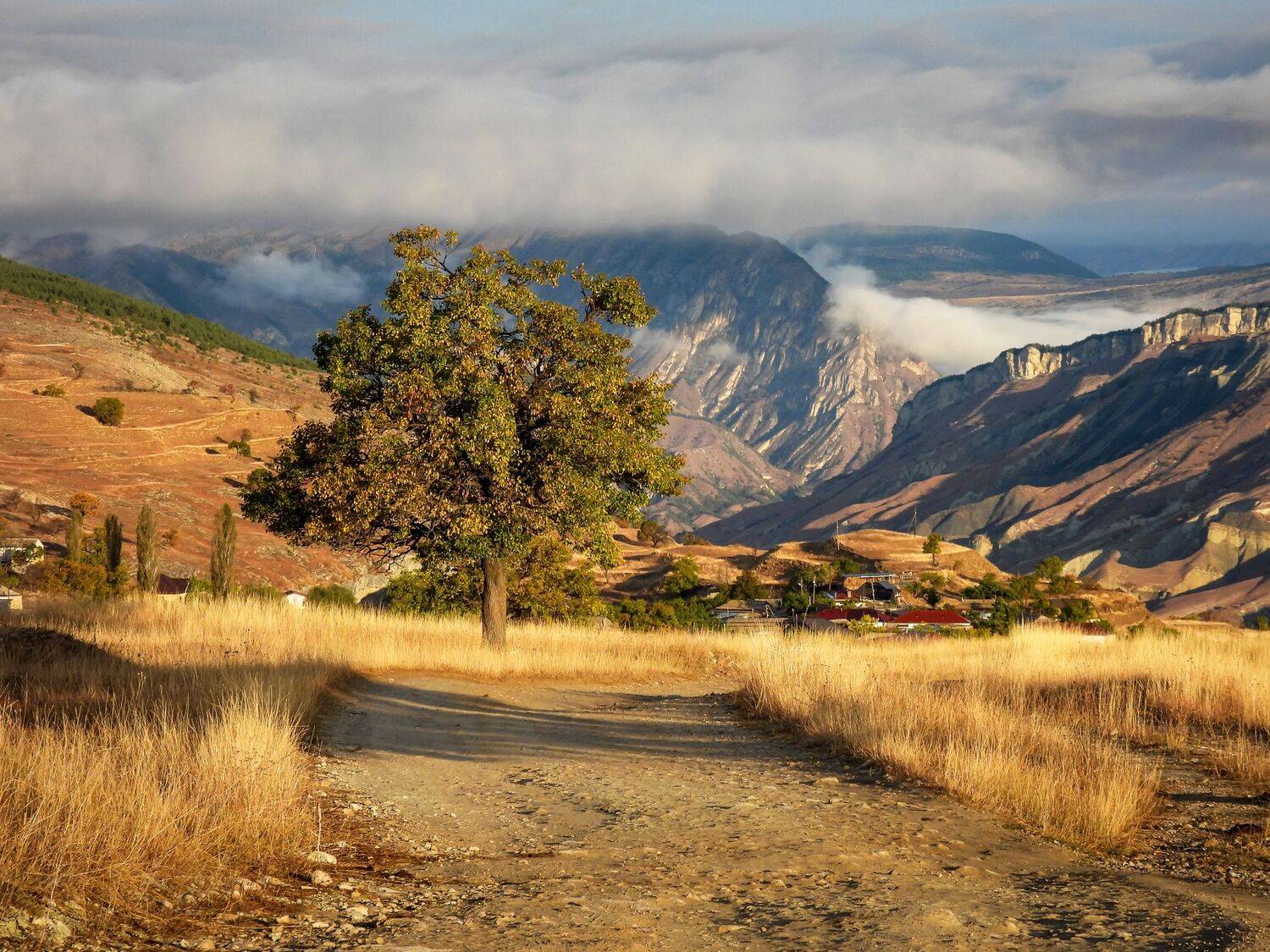 Дагестан, Кавказ, Лесина Елена