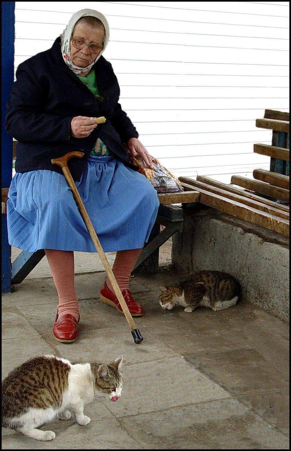 , Меднов Влад