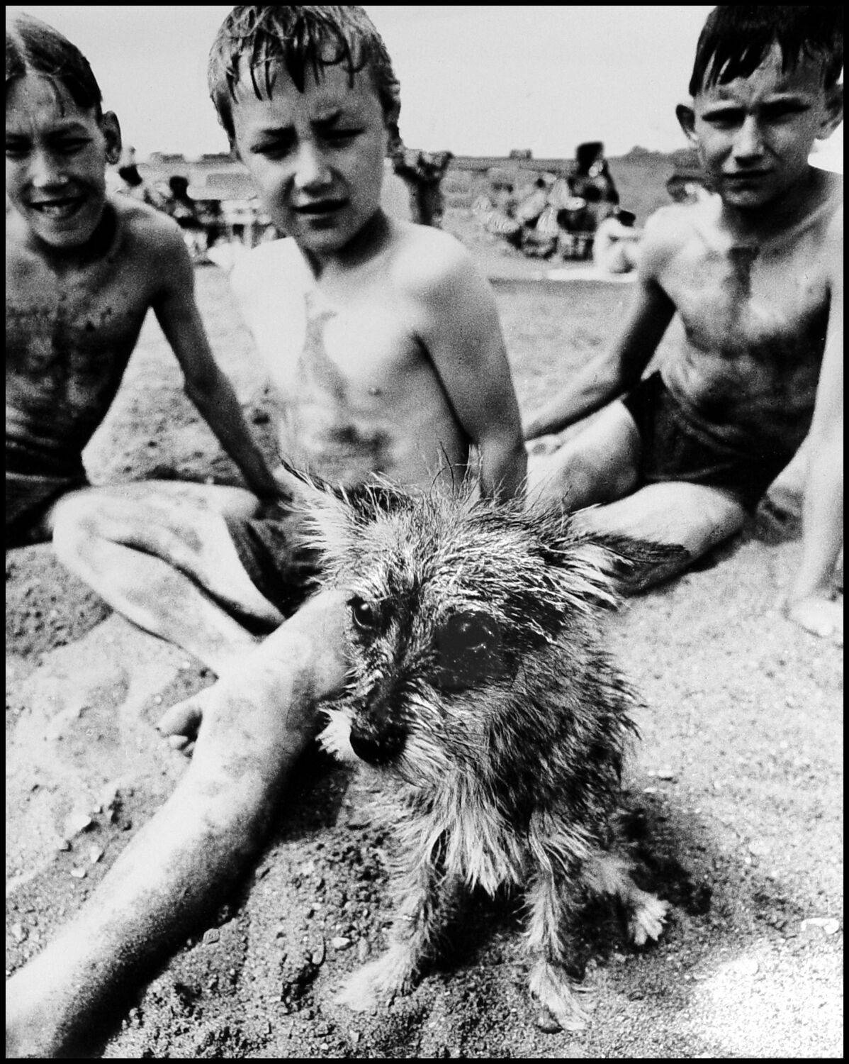 , Меднов Влад