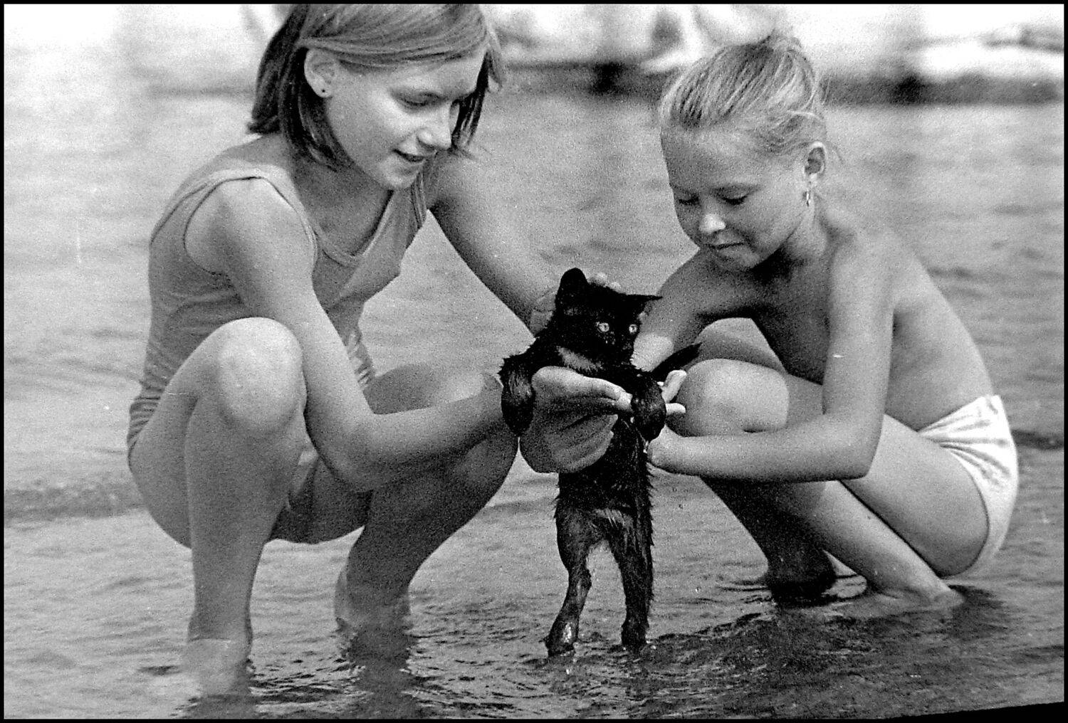 , Меднов Влад