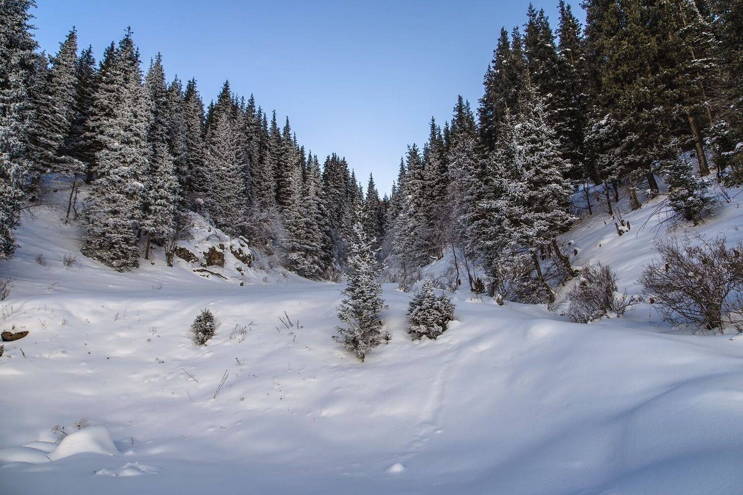 кыргызстан, ак-тюз, Элина Магалимова