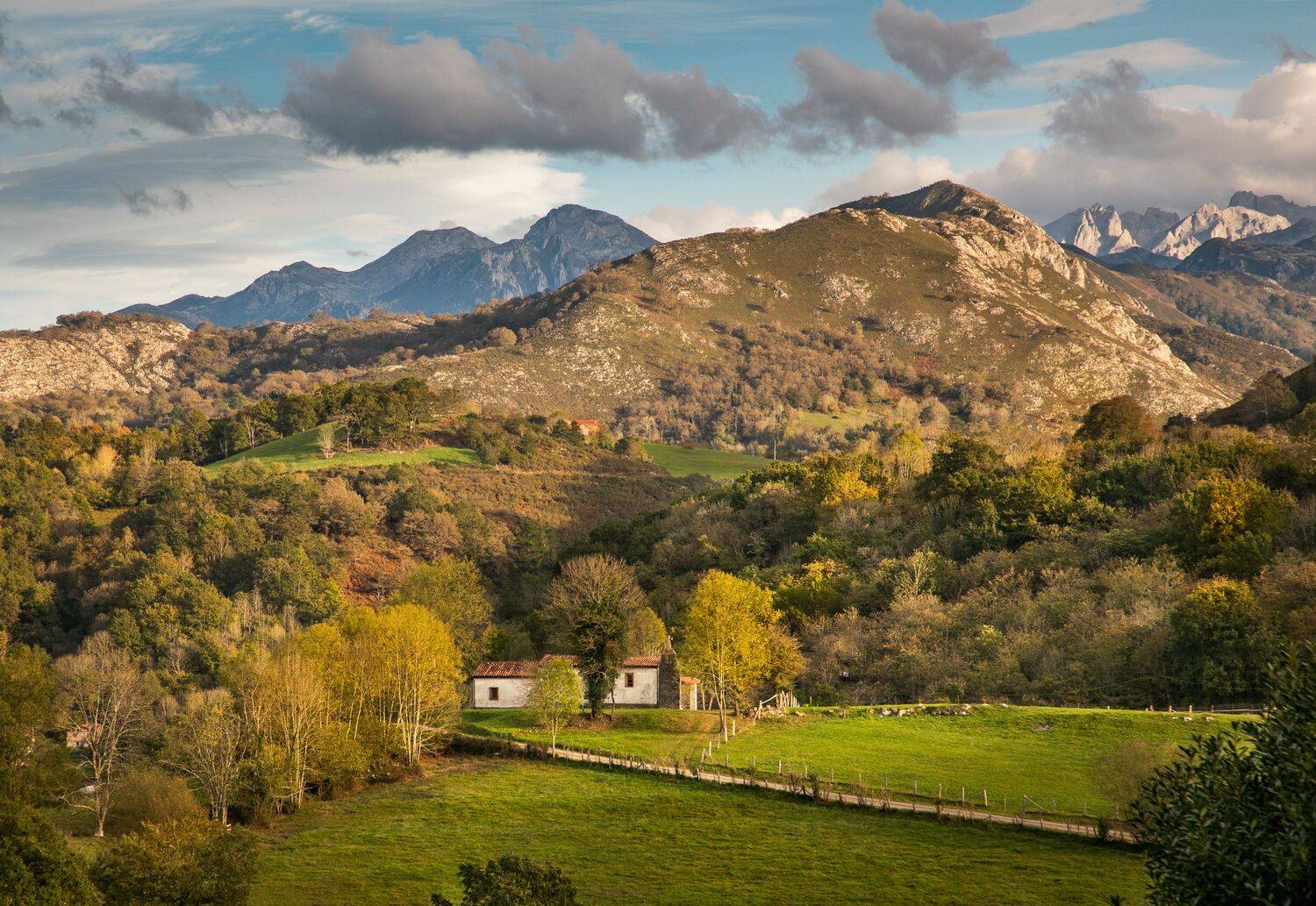 , Алекс Римский