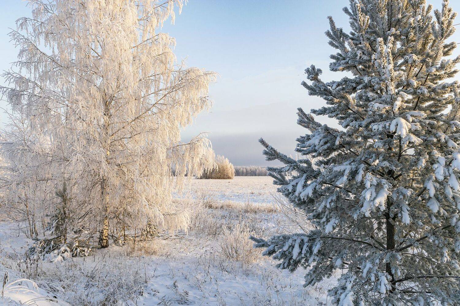 , Галина Луценко