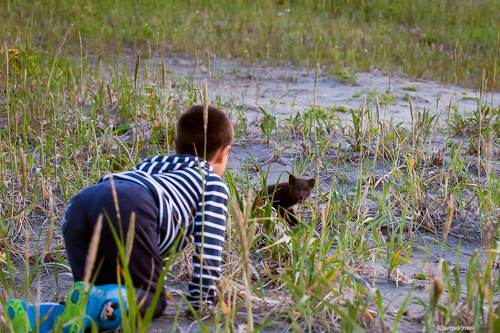 Первая встреча