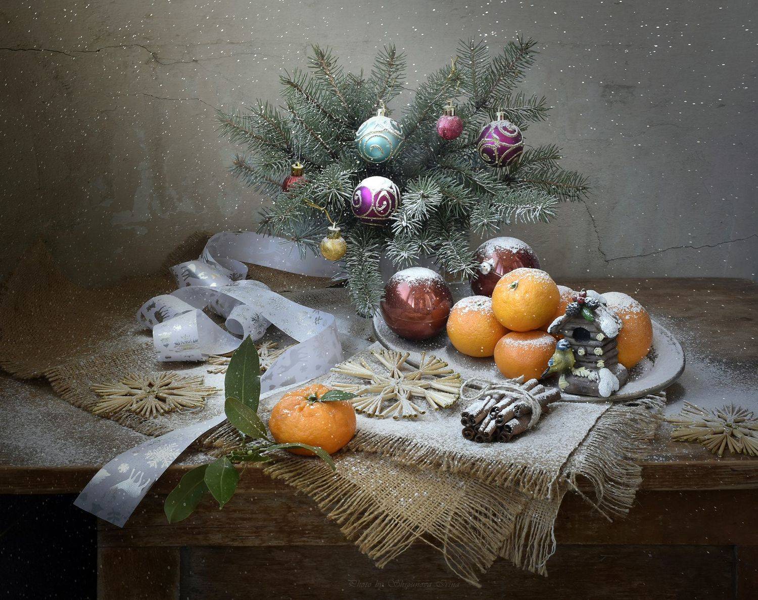 , Шипунова Ирина