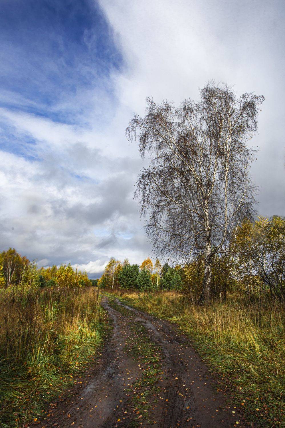 , Логвинович Андрей