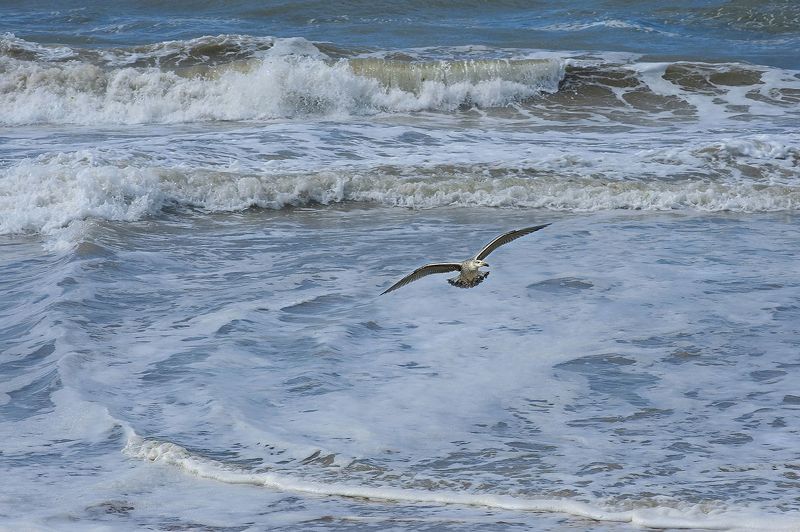 Le Crosic фото превью