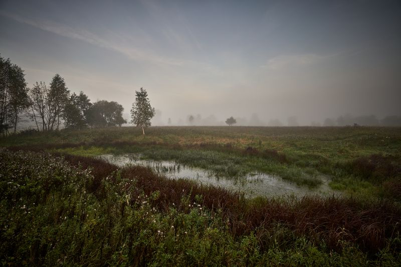 Седое утро сентября фото превью