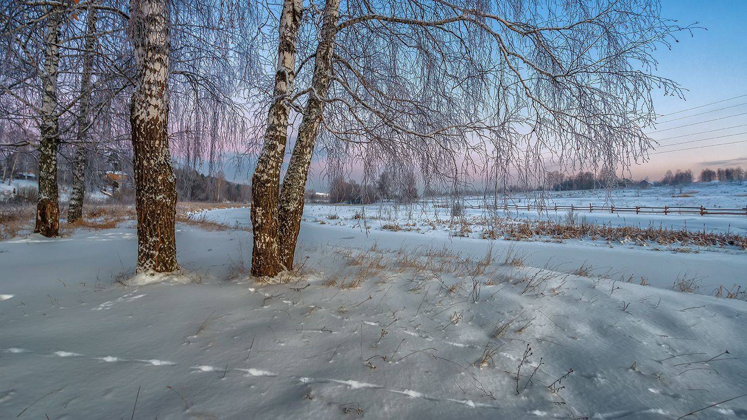 , Андреев Николай
