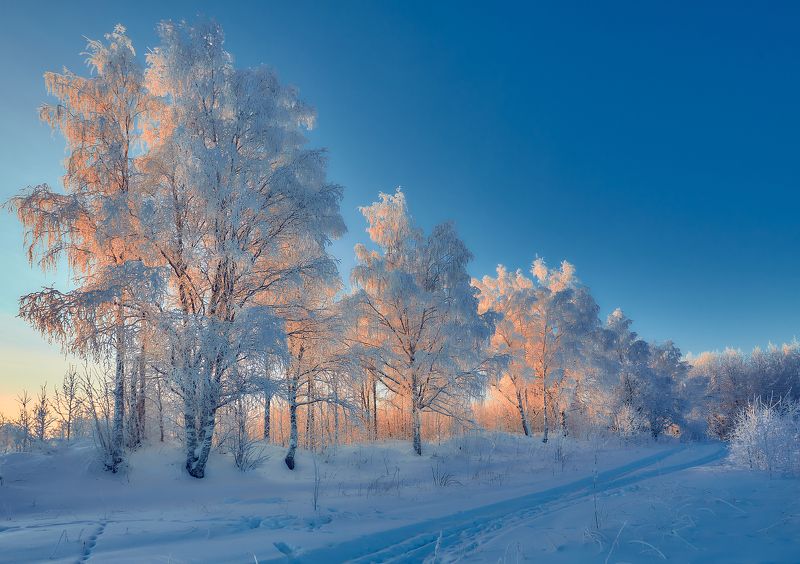 *** фото превью