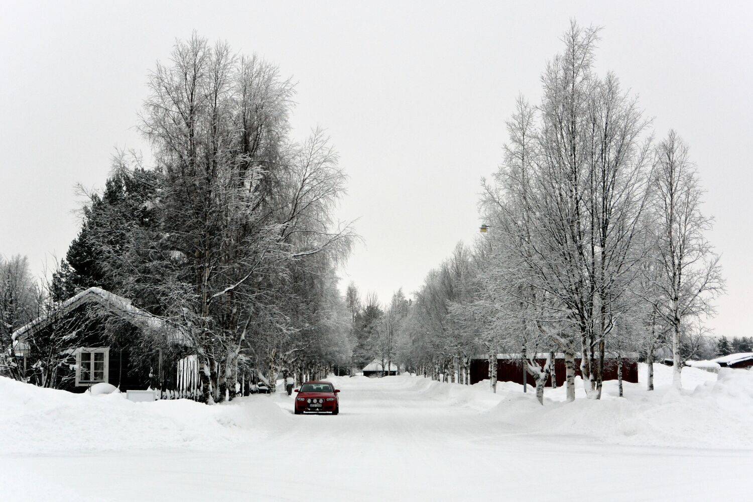 , Александр Шандов