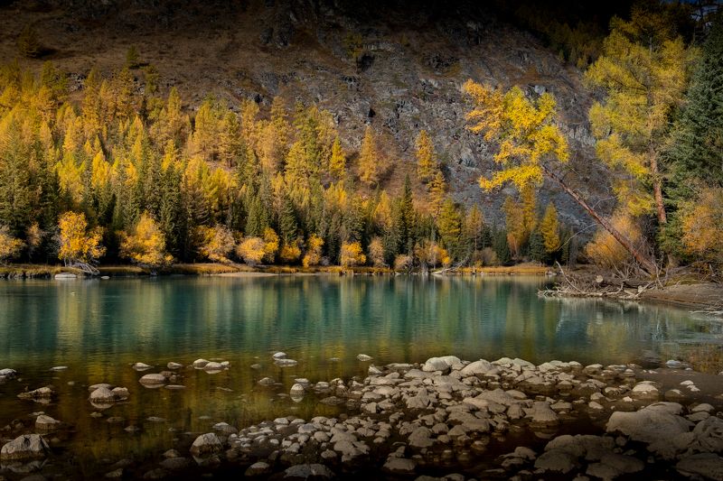 фототур на алтай, аргут, сентябрь, алтай, республика алтай, горный алтай, нд, осень, река, river, altai, argut, september, photo tour to altai, золотой алтай, золотой алтай нд, осень, что такое осень? Осень и Аргут фото превью