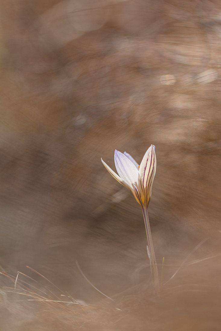 , Илья Михеев