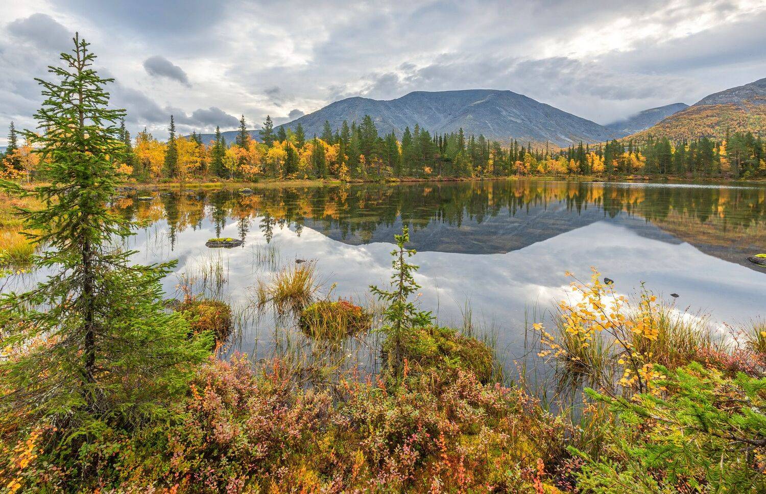 , Владимир Брагилевский
