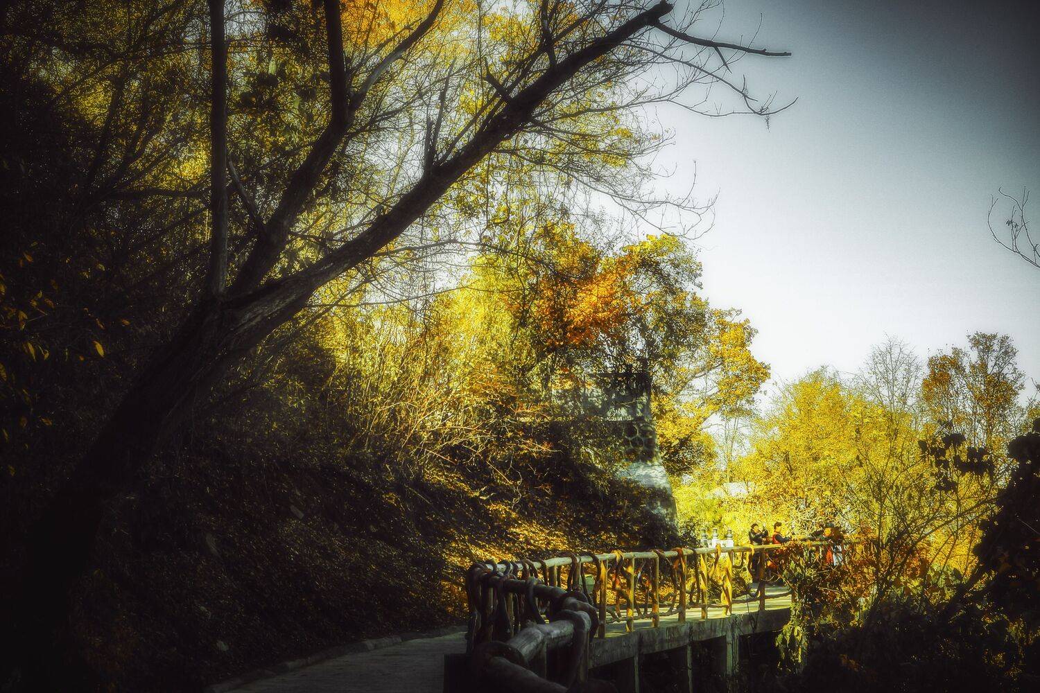 少华秋色, 吴 微雨墨烟鸿