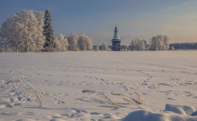 архангельская обл,деревня кучепалда, Кучепалда фото превью