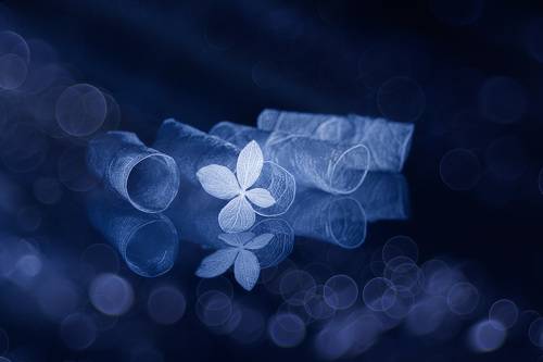 Mysterious variations