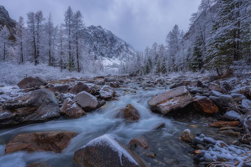 алтай Долина реки Актру после ночного снегопада. Алтай. фото превью