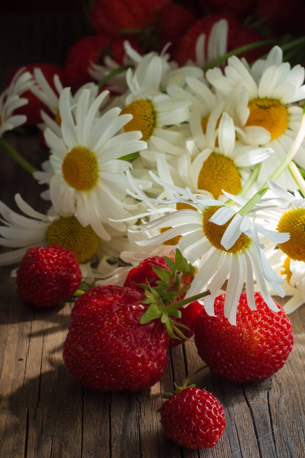 клубника, ромашки, свет, Elena Hvojnova