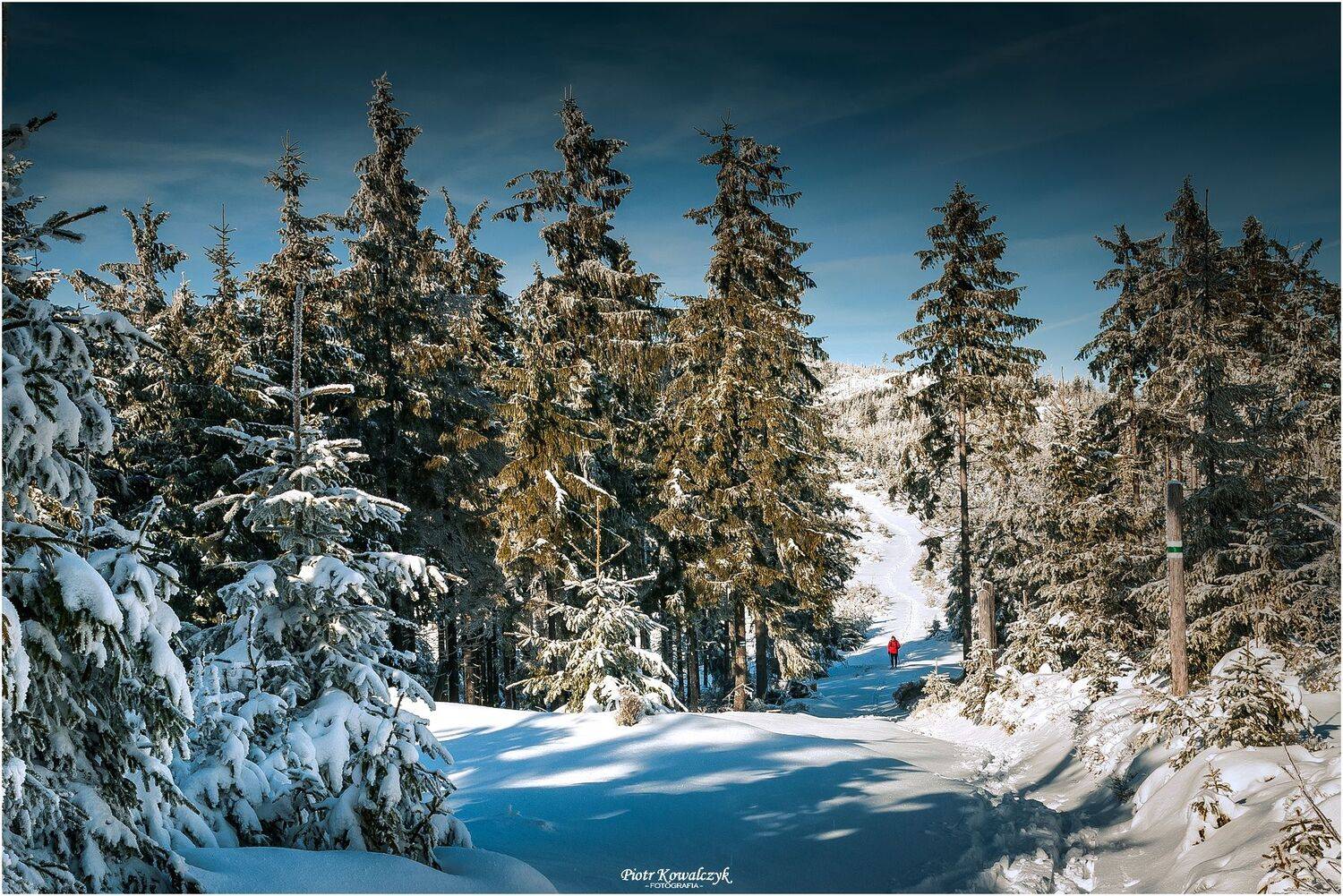 zima, polska, Kowalczyk Piotr