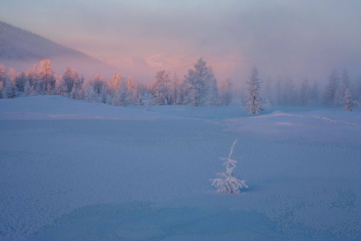 Фототуры с Владимиром Рябковым, #topnature #russpasibo #magic_shots #lovelyRussia #sunset_vision #exclusive_sky  #exclusive_shots #loves_russia2 #photoarena_nature #nature_sultans #nature_perfection #rsa_sky #rsa_sunset #photorussia #rsa_naturepics #sunse, Владимир Рябков