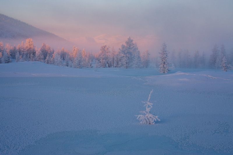 На наледи. фото превью