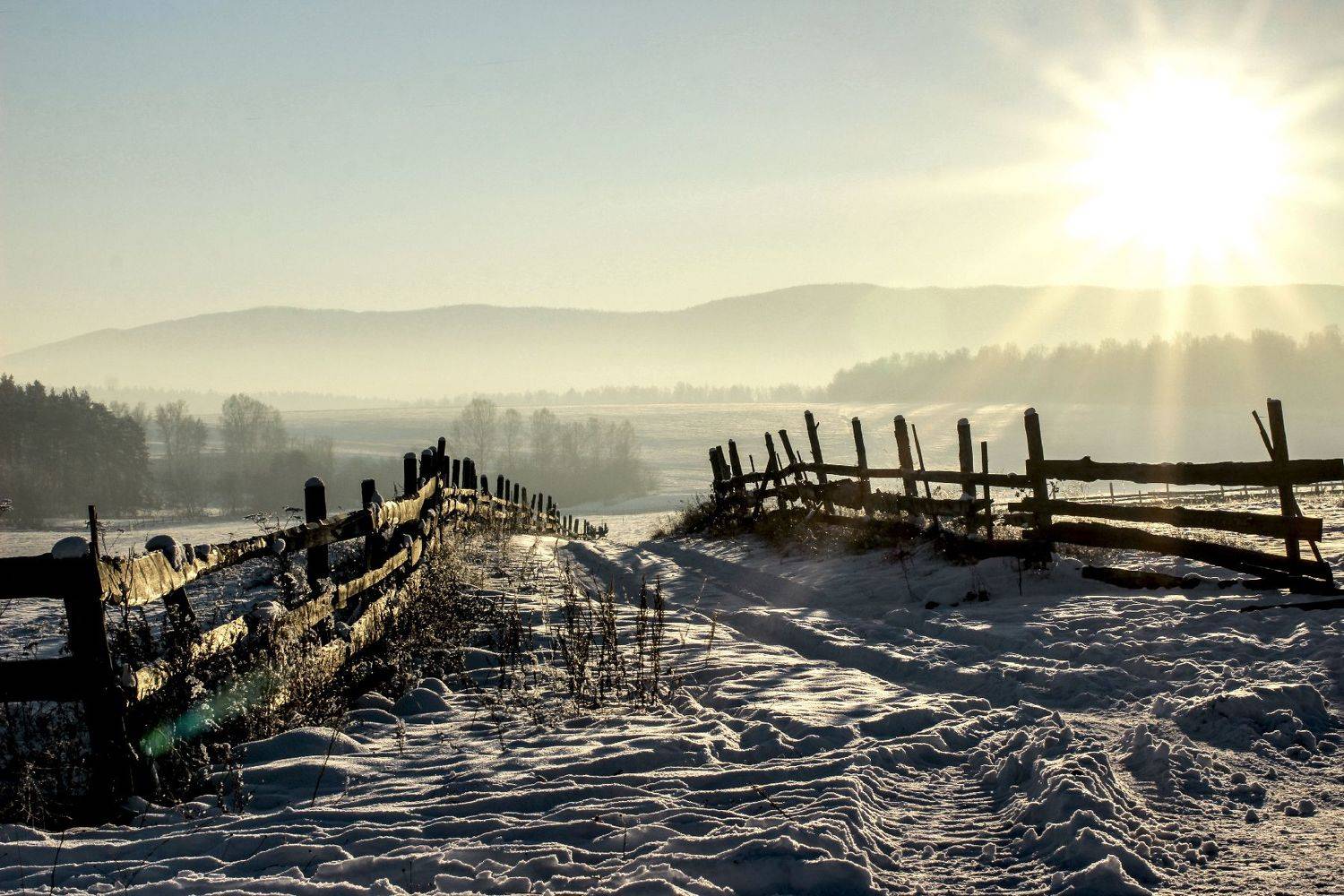 , Михаил Четвертков