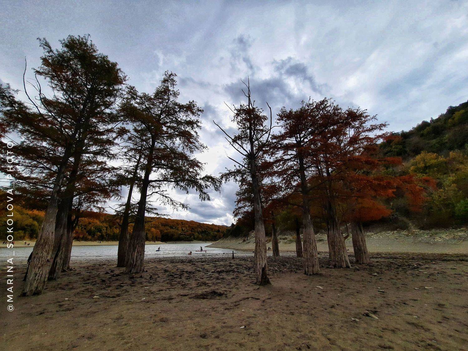 , Марина Соколова