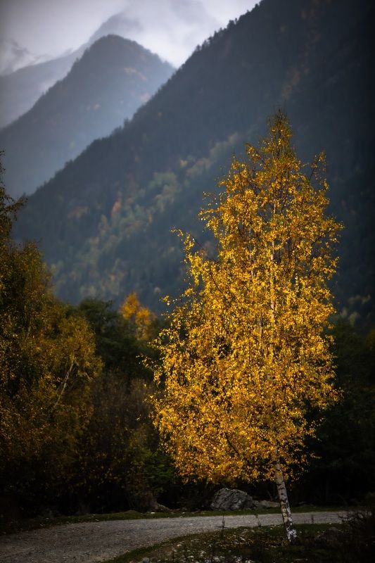 Осень в горах Кавказа. фото превью