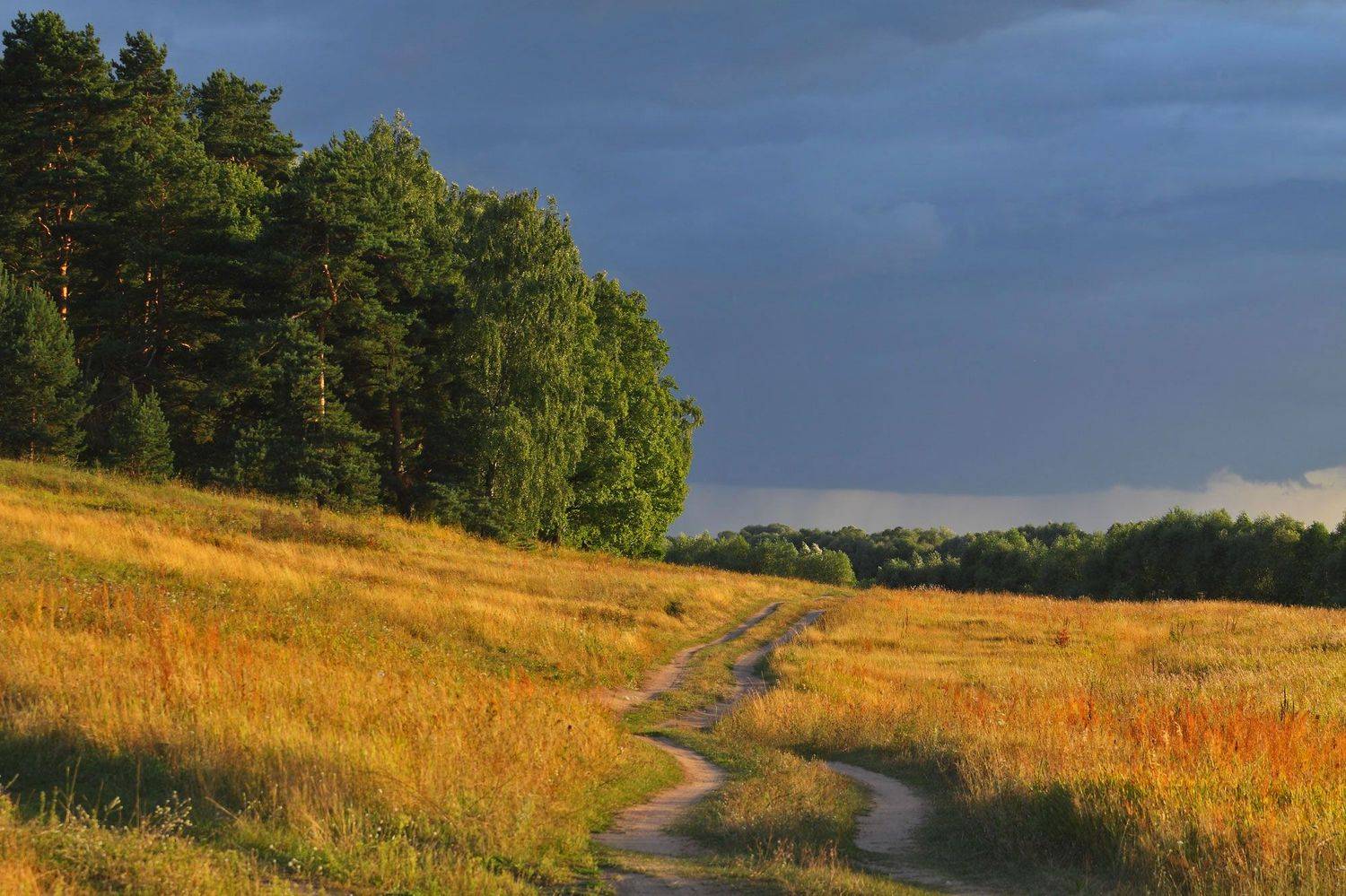 , Юрий Дёмин