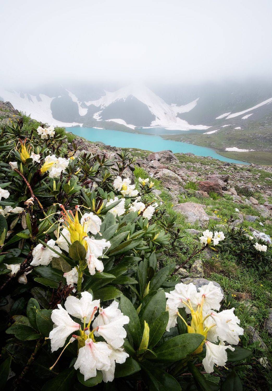 кавказ, горы, имеретинские озера, имеретинка, весна, кчр, пейзаж, природа, кавказские горы, рододендрон, Глеб Желтов