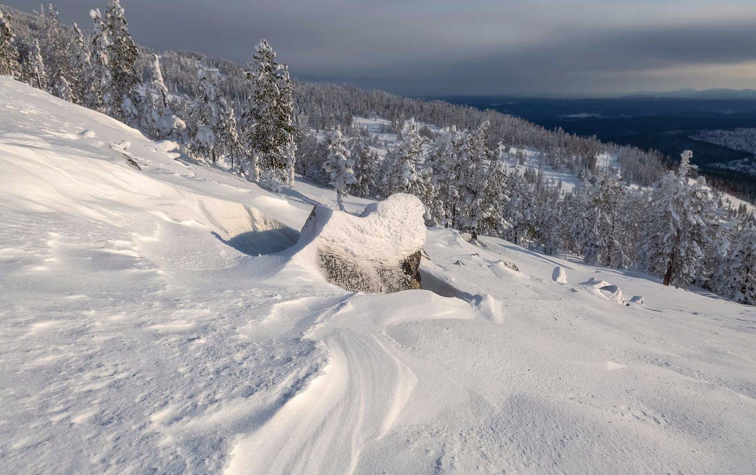 сибирь, аргыджек, зима, снег, иней, ели, Фомина Марина