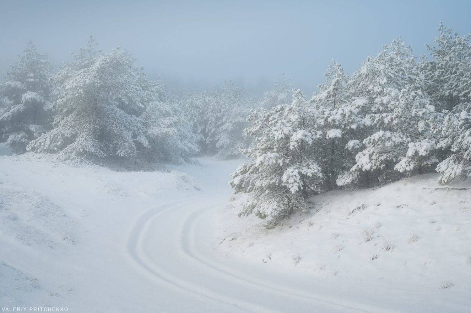 , Валерий Притченко