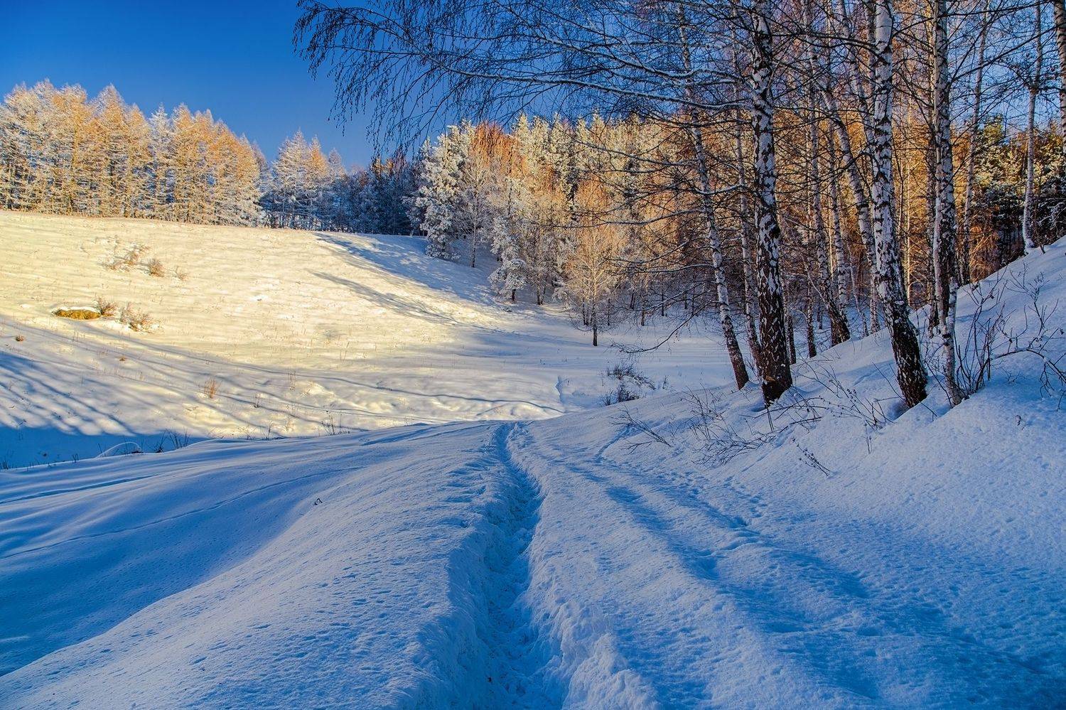 кыргызстан, ак-тюз, Элина Магалимова