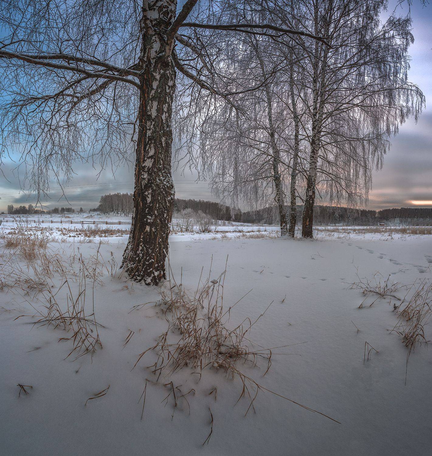 , Андреев Николай