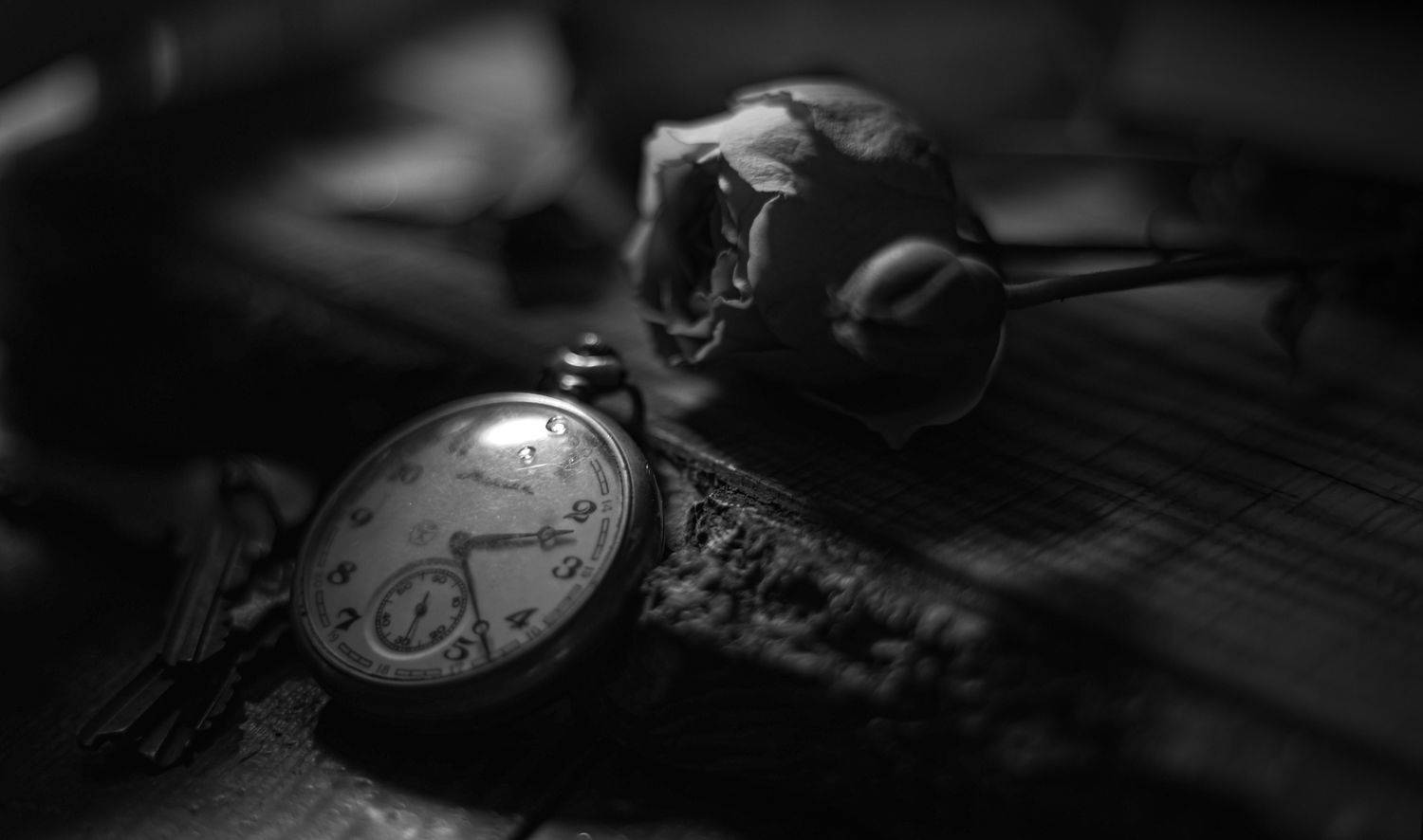 , Владимир Осауленко