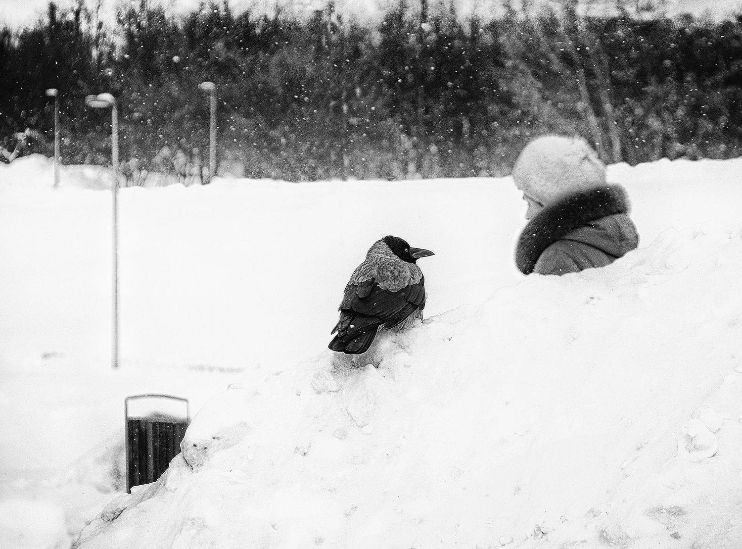 , Елена Лаврова